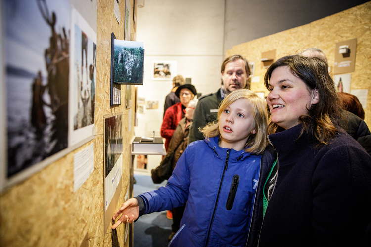 the neverending park